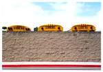 3 Yellow buses by isaaci