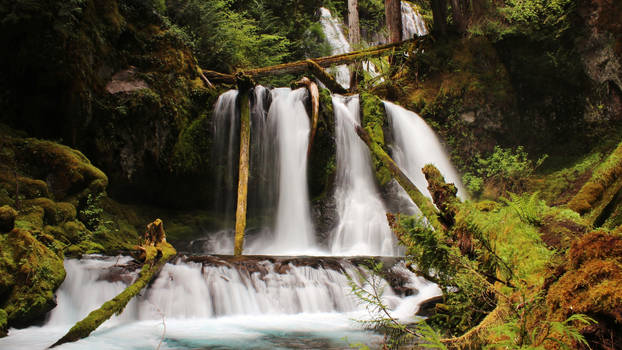 2nd Tier Panther Creek Falls