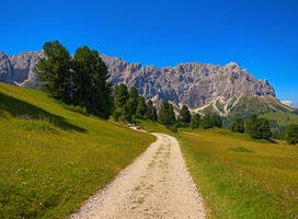 Long is the road II