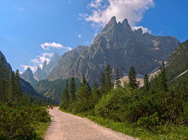 The long march