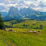 Meadows, woods and mountains