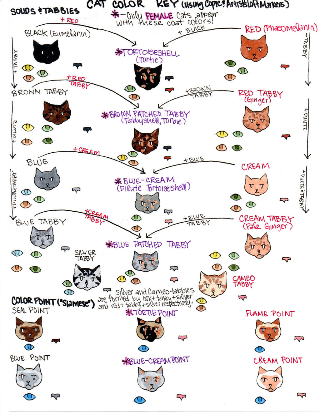What Are Inherited Traits?