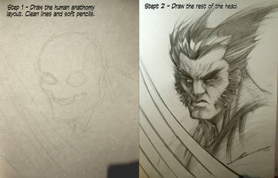 TUTORIAL HOW TO DRAW WOLVERINE IN TWO EASY STEPS by Sandoval-Art