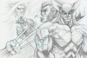 Wolverine Collage
