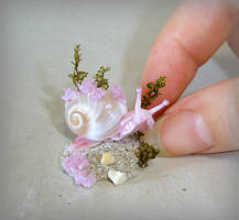 Miniature Sea snail