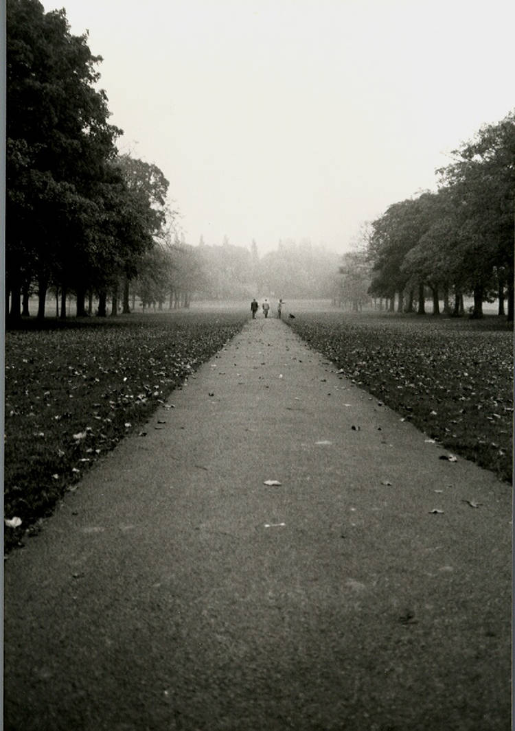 A long walk by ams61 on DeviantArt
