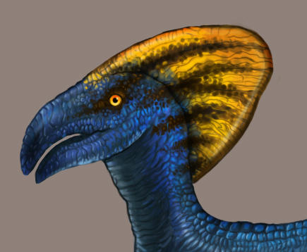 Crested Raptor Crested_Raptor_WIP by Katie-Murphy on DeviantArt