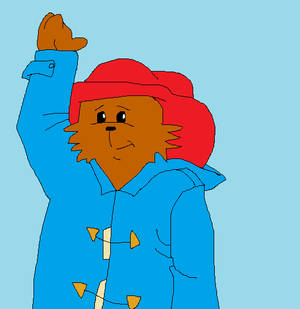 Paddington Bear