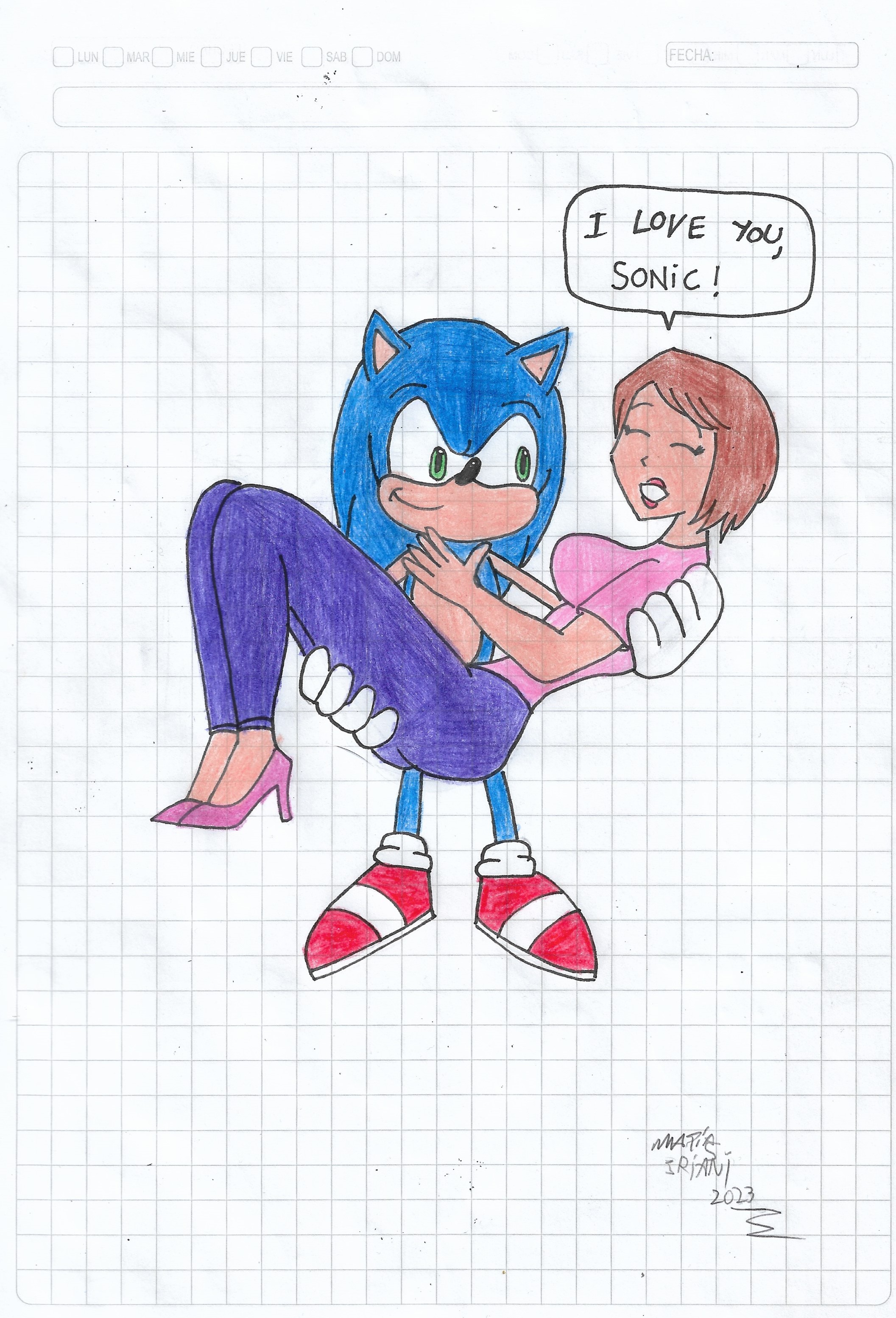 LukCan on X: Sonic the Hedgehog carrying Princess Elise the