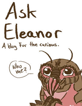 Ask El