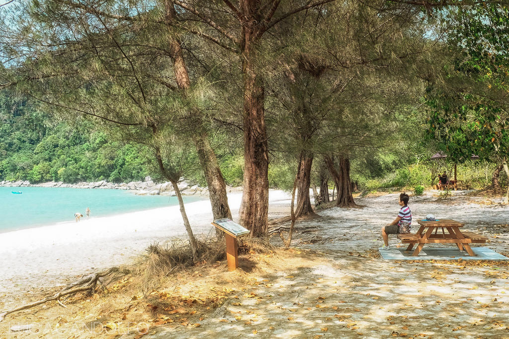 Turtle Beach Penang Malaysia By Lukag2906 On Deviantart