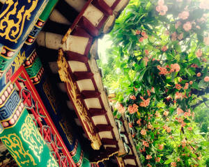 Baomo Garden-Decorated Roof