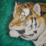 Tiger in Acrylic