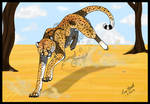 cheetah run by TussenSessan