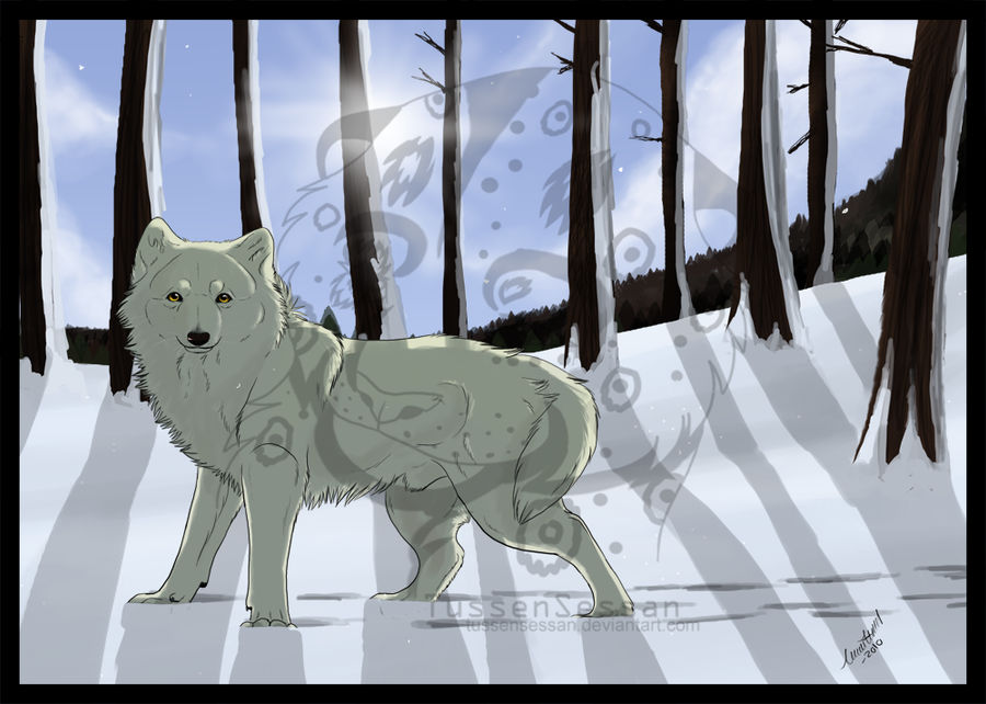 White Wolf by TussenSessan on DeviantArt