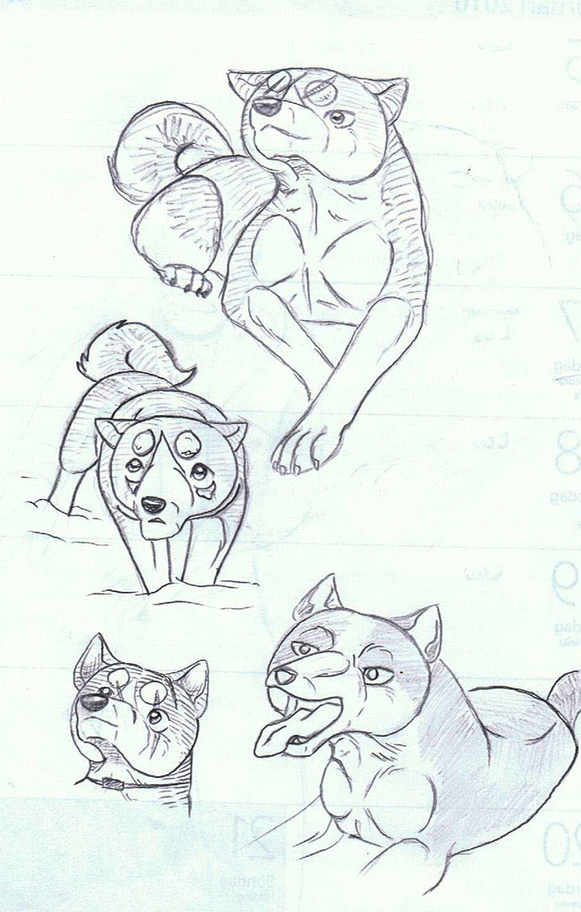 Ginga Doodles