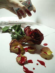 bloody rose stock 3