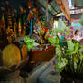 Lotuses, Phnom Kulen, Siem Reap, Cambodia