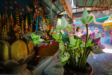 Lotuses, Phnom Kulen, Siem Reap, Cambodia
