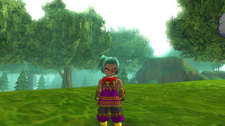 dragon ball online character