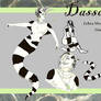 Dassan -- Character Sheet