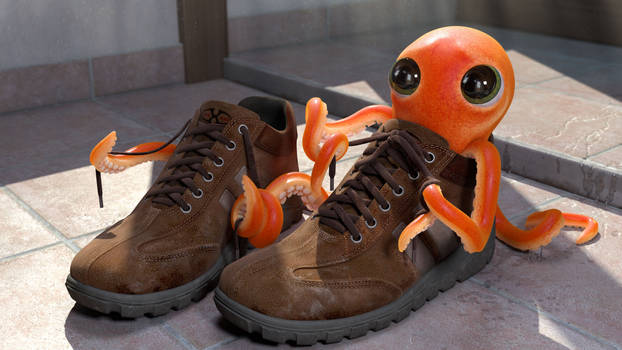 Octopus in a shoe