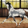 Traaker Foal Design || SMR Minstrel's Fiend