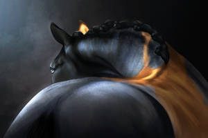 Traaker Art War - Caturix