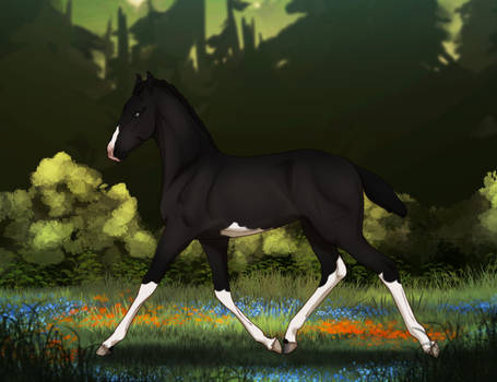 Limartio Foal Design || SMR Storm of Lola