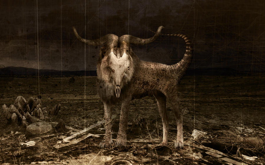 Chimera by fensterer