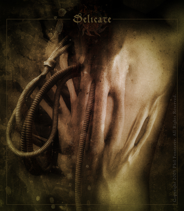 Delicate by fensterer