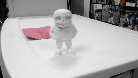 3d Printed sans.