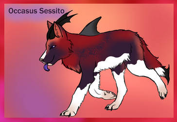 Occasus Sessito | Kvinde | Seavarg Pup