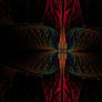 Apophysis-260904-1b