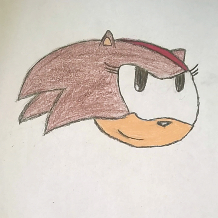 Liz The Hedgehog