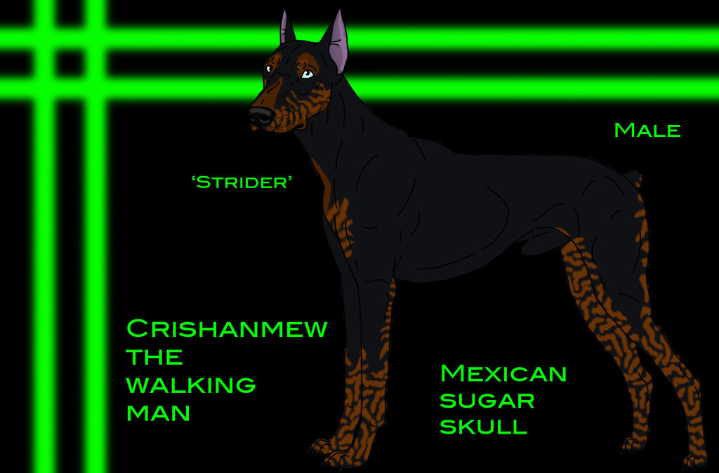 Strider ref sheet by MaichoMod on DeviantArt