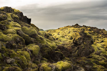 Lava field