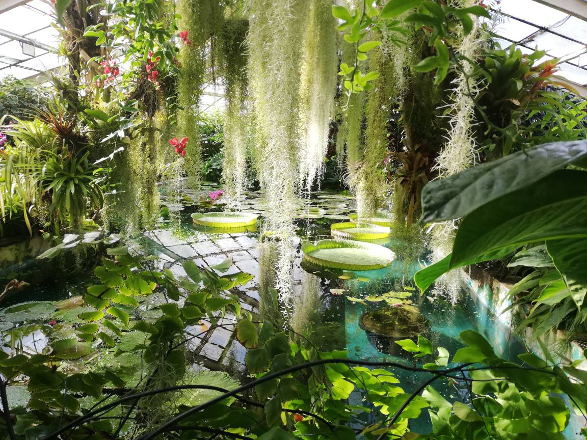 Botanic garden