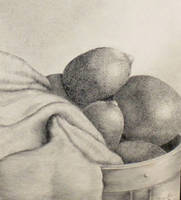 Citrus Still Life, Pencil