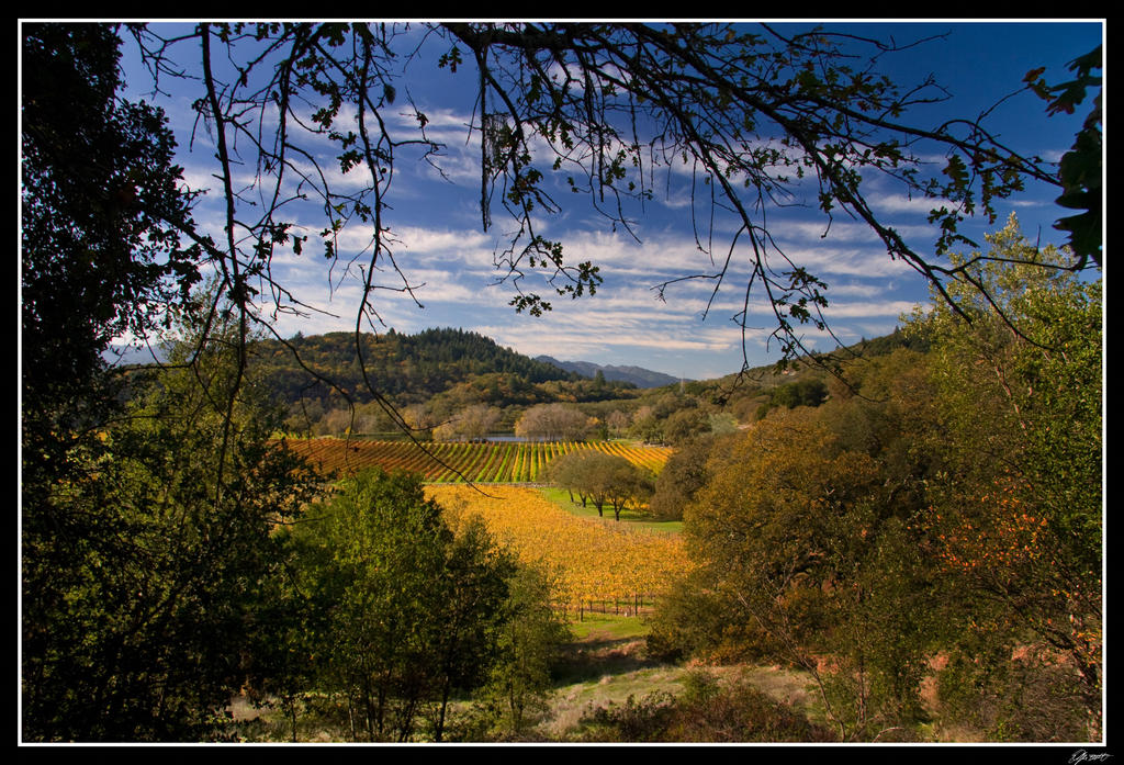 Napa Valley