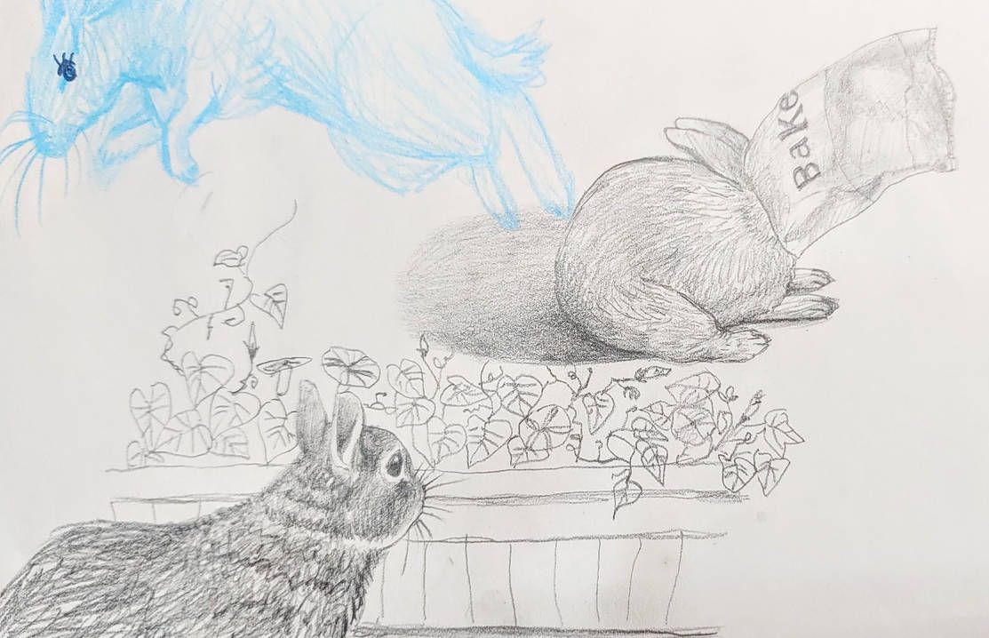 Scsrlet Rabbit rabbits by ScarletAtlas on DeviantArt
