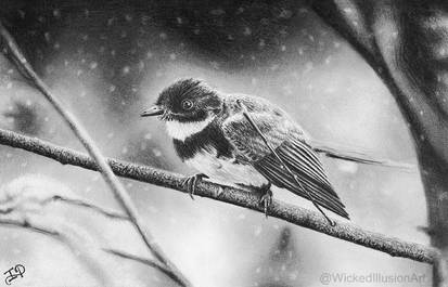 Winter Bird