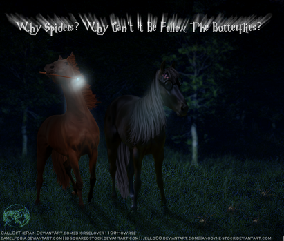 Why Spiders?- Harry Potter Manip by CallOfTheRain