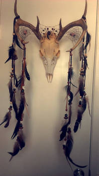 Penrod deer skull dream catcher