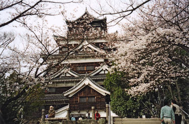 Japanese Castle