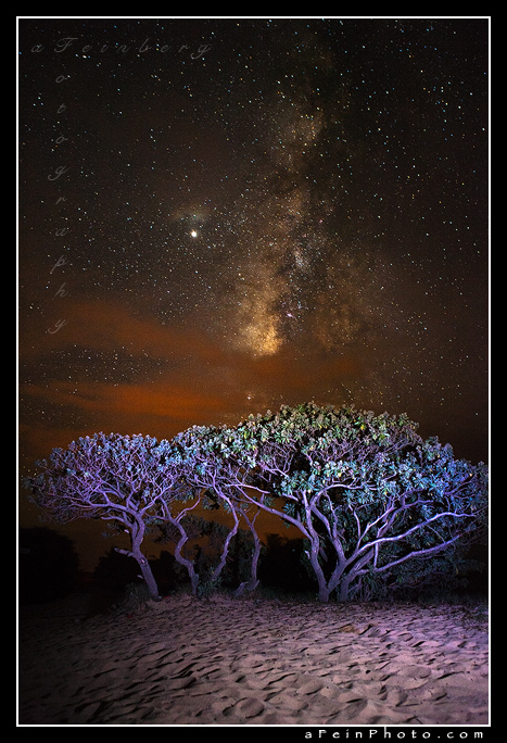 Milky Way Over Polihale