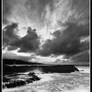 Turbulent Tides BW