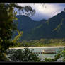 Hanalei Window