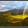 Classical Kauai