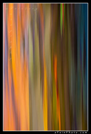 Rainbow Smear by aFeinPhoto-com